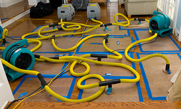 Professional Sewage Cleanup technician working in Alamo, TX